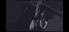 Dalo Dalomonze GIF - Dalo Dalomonze Basketball GIFs