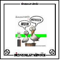 a cartoon of two seagulls with speech bubbles that say moin