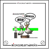 a cartoon of two seagulls with speech bubbles that say moin