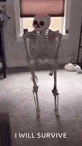 a skeleton is standing on its hind legs in a room .