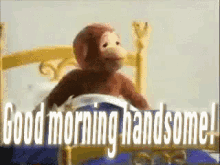 Good Morning Handsome GIF - Good Morning Handsome Monkey Good Day GIFs
