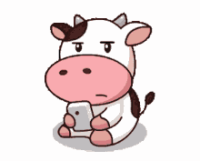 smile cow