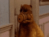 a stuffed animal with the word alf on it 's face