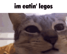 Lego Cat GIF - Lego Cat Meme GIFs