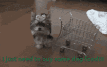 Shopping Push It GIF - Shopping Push It Dog GIFs