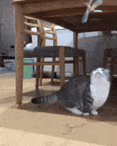 a cat is playing with a toy under a wooden table