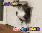 a picture of a cat coming out of a cat door with the words must rescue gay cat dad below it
