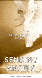 a poster for a book called sending angels
