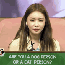 chungha what huh dog person cat person