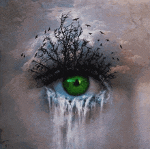 Eye Tears GIF - Eye Tears GIFs