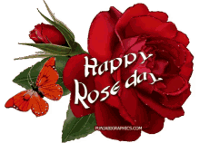happy rose day rose day feb7