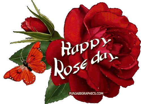 Happy Rose Day Feb7 Sticker - Happy Rose Day Rose Day Feb7 Stickers