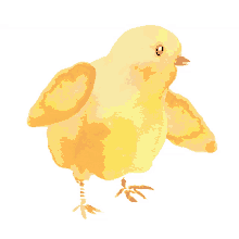 chicken happy