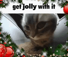 Get Jolly With It Cat GIF - Get Jolly With It Cat Christmas GIFs