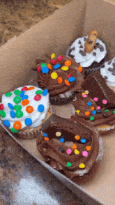 Cupcakes Dessert GIF - Cupcakes Dessert Box Of Cupcakes GIFs