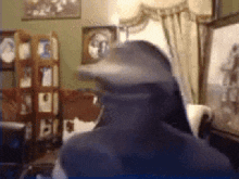 a blurry picture of a person wearing a hooded jacket