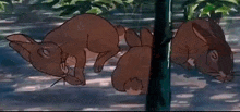 two brown rabbits are laying on the ground in a cartoon