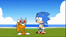 Sonic Tails GIF - Sonic Tails Spinning GIFs