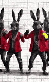 a group of rabbits wearing red jackets and black jeans