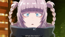 a girl with pigtails and blue eyes is asking what the heck