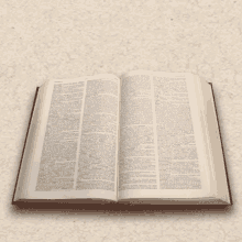 Books Reading GIF - Books Reading Pages GIFs