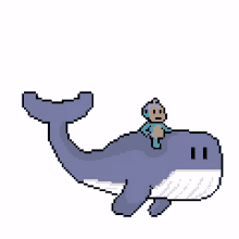 baby whale