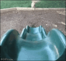 Slide Dog GIF
