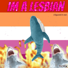 a picture of two sharks with the words i 'm a lesbian
