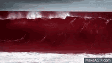 red-tide-red.gif