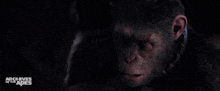 Planet Of The Apes Caesar GIF - Planet Of The Apes Caesar Talk GIFs