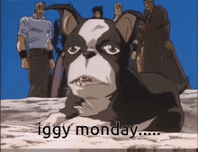 a black and white dog is laying on the ground with the words `` iggy monday '' written below it .