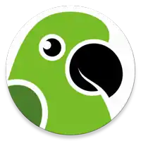 a green parrot with a black beak and a white eye