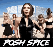Posh Spice Spice Girls GIF - Posh Spice Spice Girls Victoria Beckham GIFs