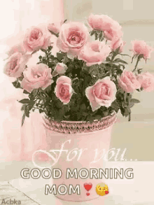 for you roses flowerpot good morning