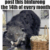 a bear is eating popcorn next to a basket of popcorn