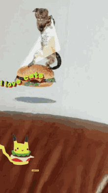 Hamburger Cats GIF - Hamburger Cats GIFs