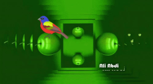 Funny Meme GIF - Funny Meme Bird - Discover & Share GIFs