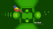 two colorful birds are on a green background with the name ali abdi
