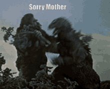 Sorry Mother GIF - Sorry Mother GIFs