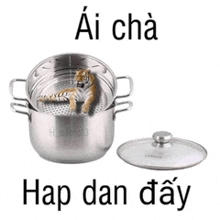 a tiger is sitting in a pot with the words ai cha hap dan day below it