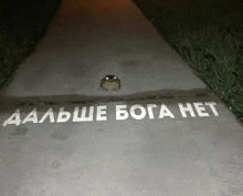 дальше бога нет Meme