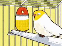 Bird Excited GIF - Bird Excited Bounce GIFs