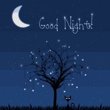 Good Night Stars GIF - Good Night Stars Moon GIFs