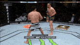 two men are fighting in a ufc ring with a monster energy logo on the ground