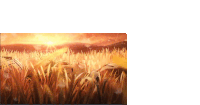 a painting of a field of tall grass with the sun shining through it