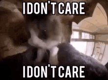 I Dont Care Cat GIF