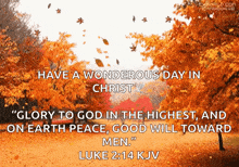 a picture of autumn leaves with a quote from the bible