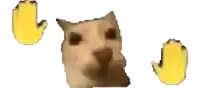 a close up of a cat 's face and two yellow hands