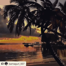 Beach Sunset GIF - Beach Sunset Palm Trees GIFs
