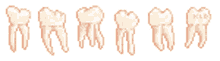 divider teeth